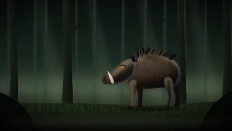 Wild Boar